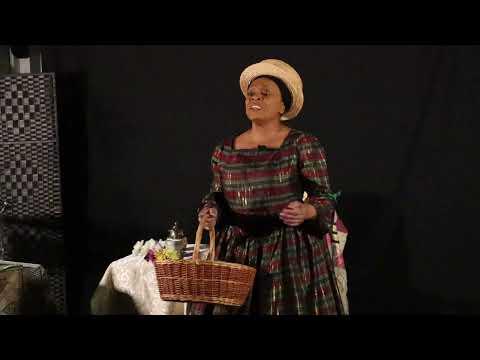 Thumbnail for Harriet Tubman:
 A Woman with a Railroad
